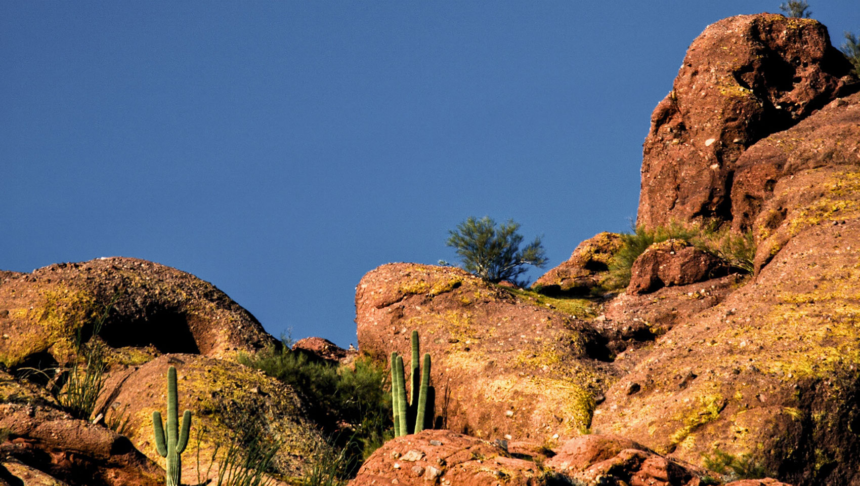 Desert Valley hiking