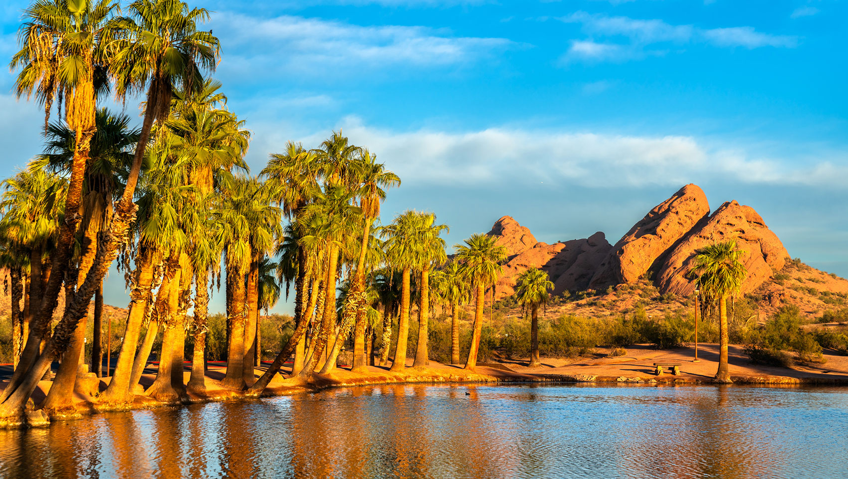 desert trees around a pond with mountain views