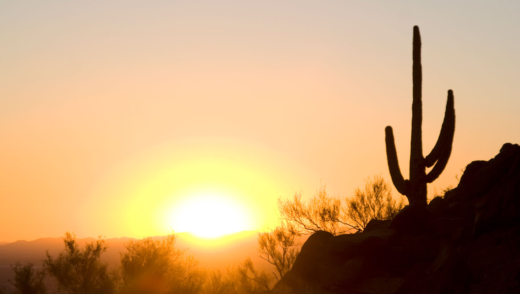 Desert Sunset in the shadow