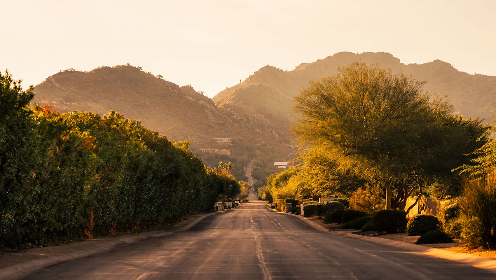 Entrance drive to Kimpton Miralina lined with desert plants and Scottsdale mountain scenery