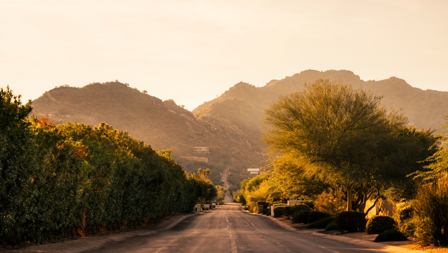 Arizona Desert Road